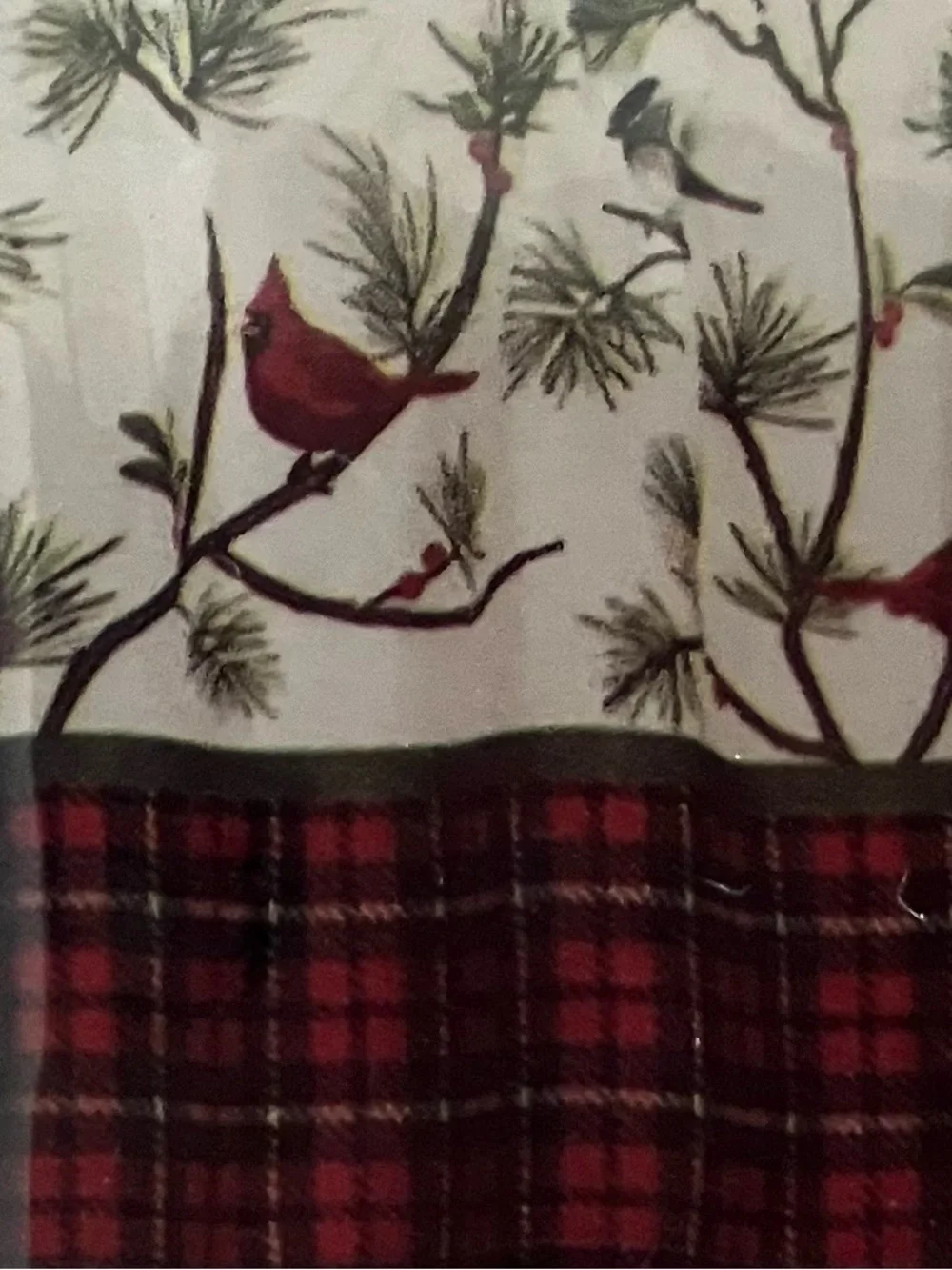 Valance- Winter Birds